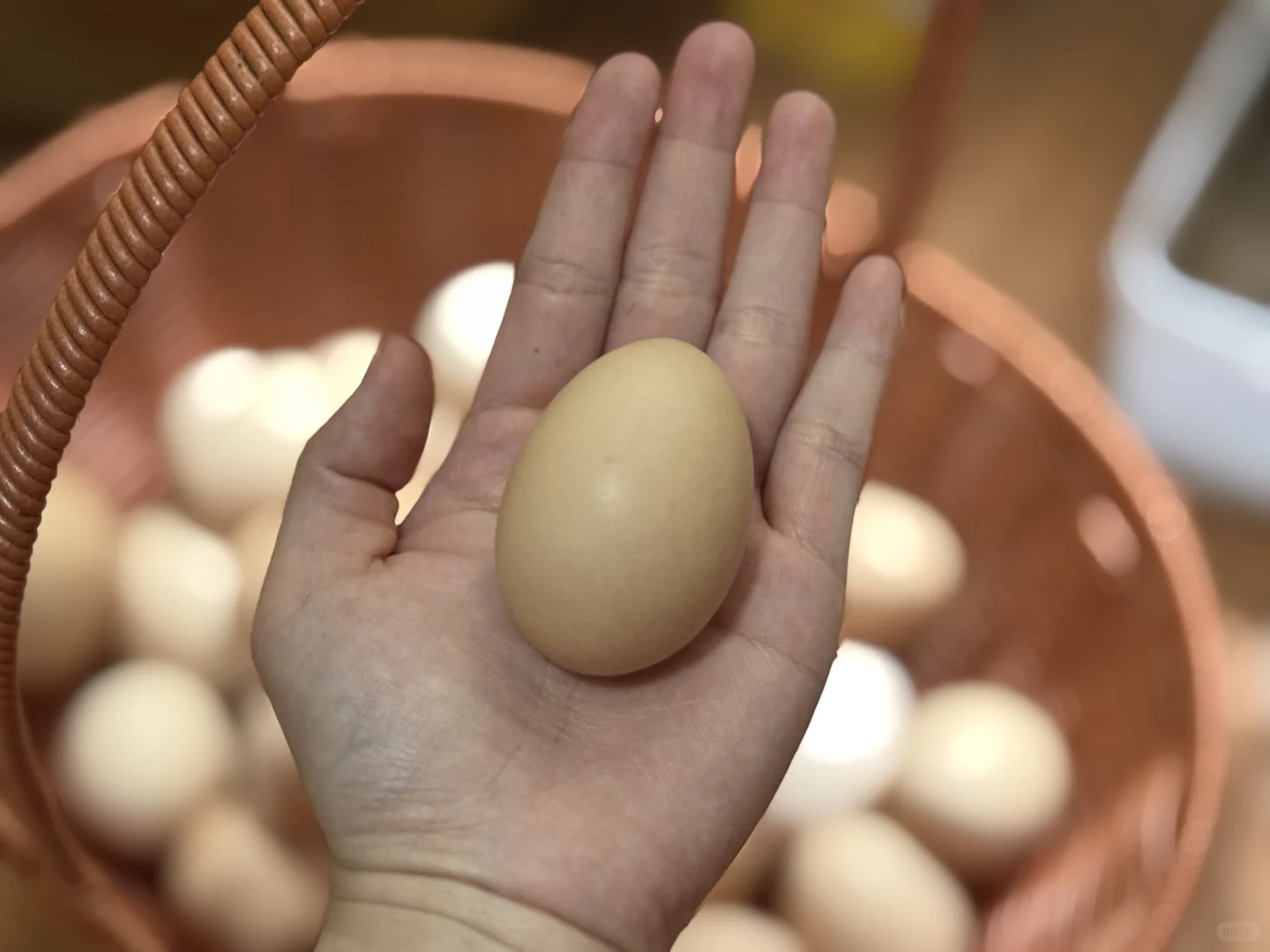谈谈最近卖鸡蛋以来的感想