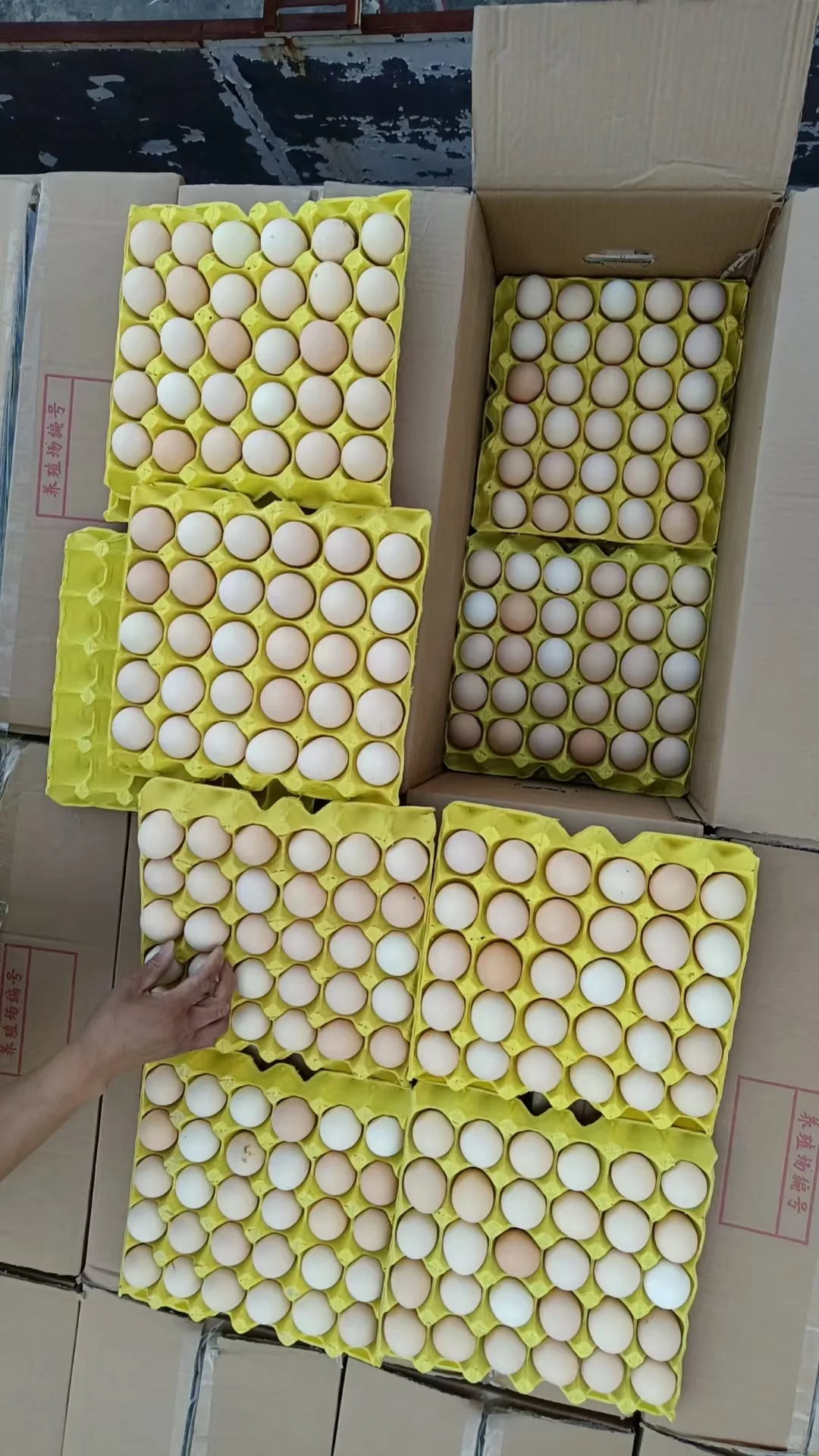 ���ݼ��������̳�����