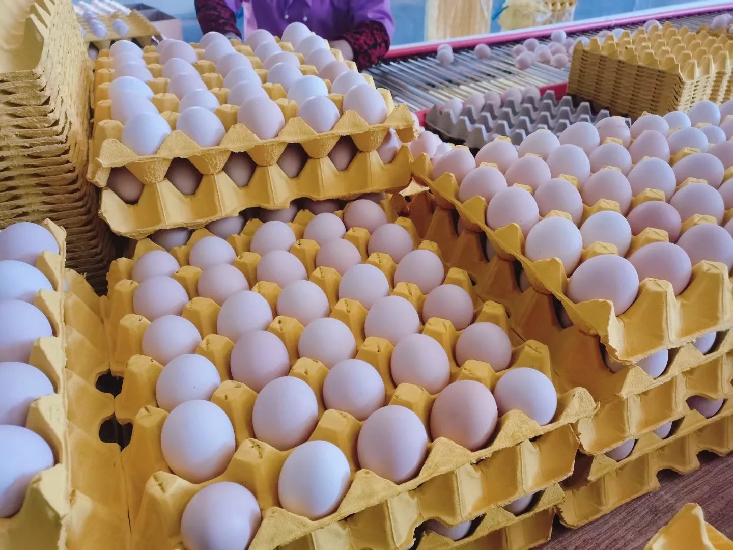 ������һ�ֻ�Դ