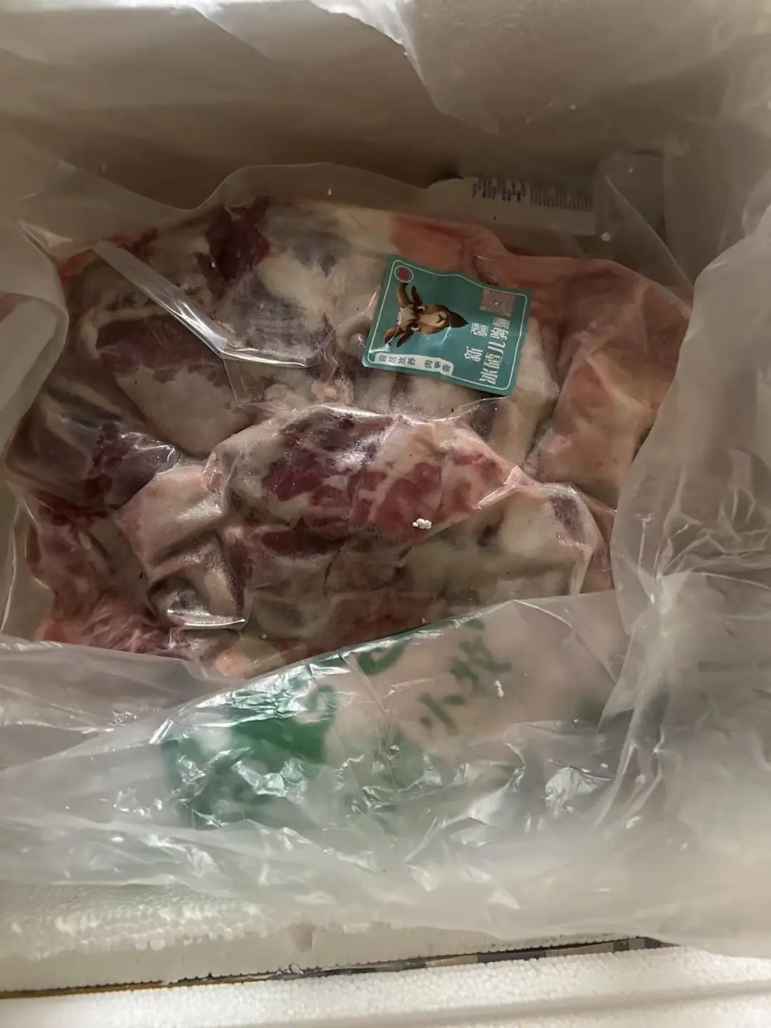 ����㶫������������һֻ��Ĺ���