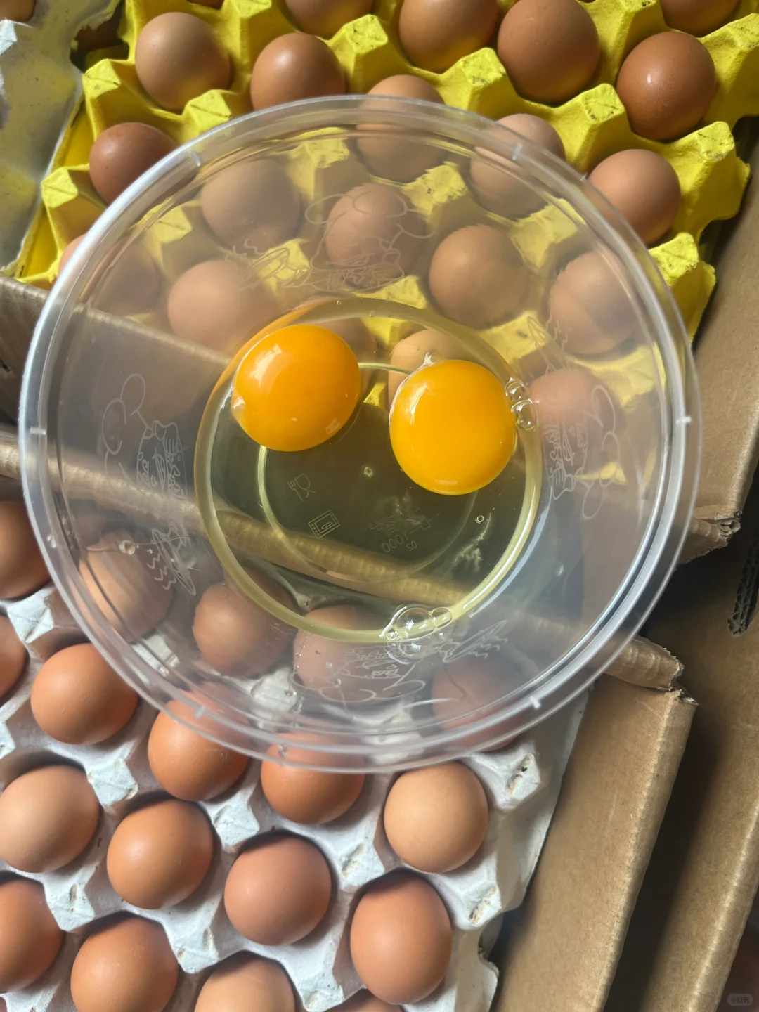 ��ǳ����� ����ֱ��