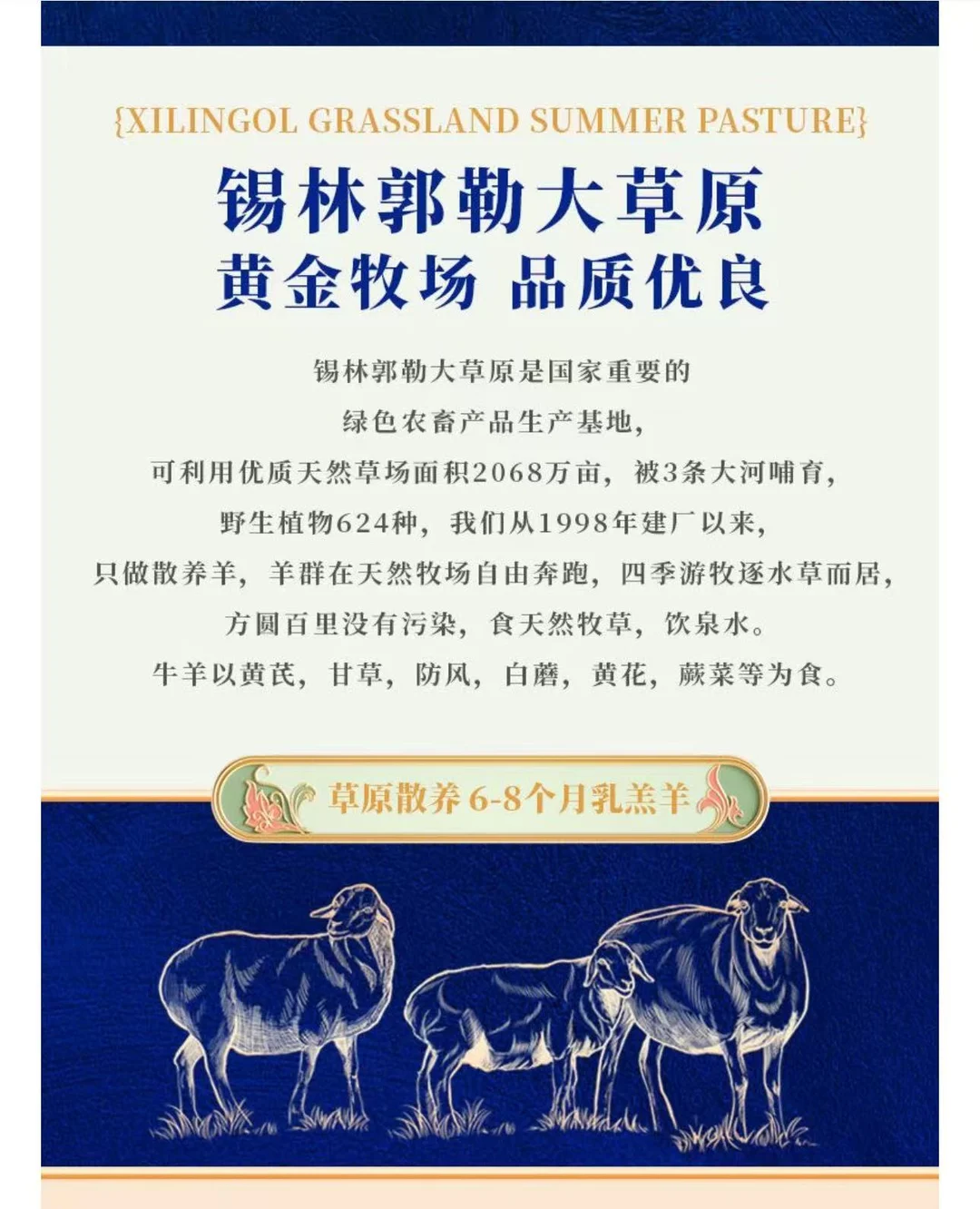 ?草原直供的鲜羊肉来小红书啦!