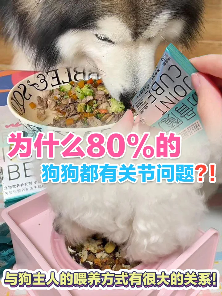 Ϊʲô80%�Ĺ������йؽ����⣿