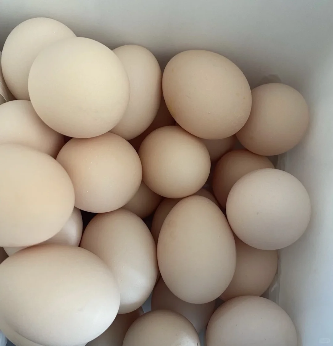 ����ÿ�������Ҷ������򼦵��˹���