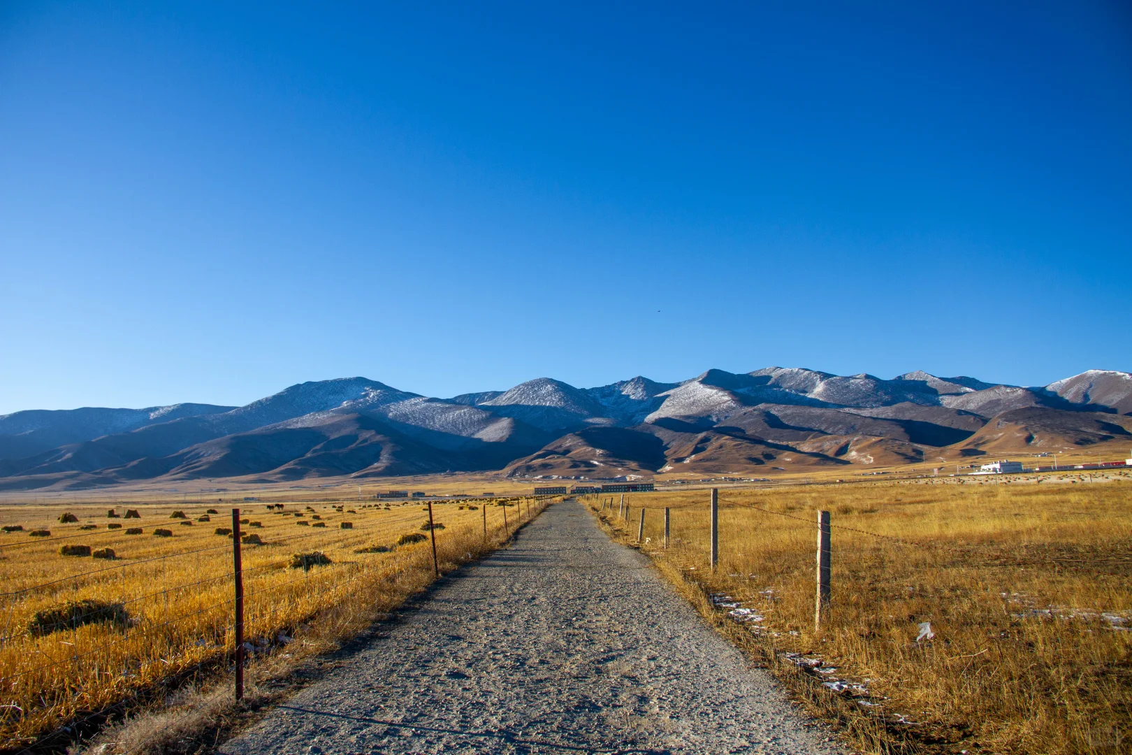 让牛马养羊这究竟是怎样的一家公司?