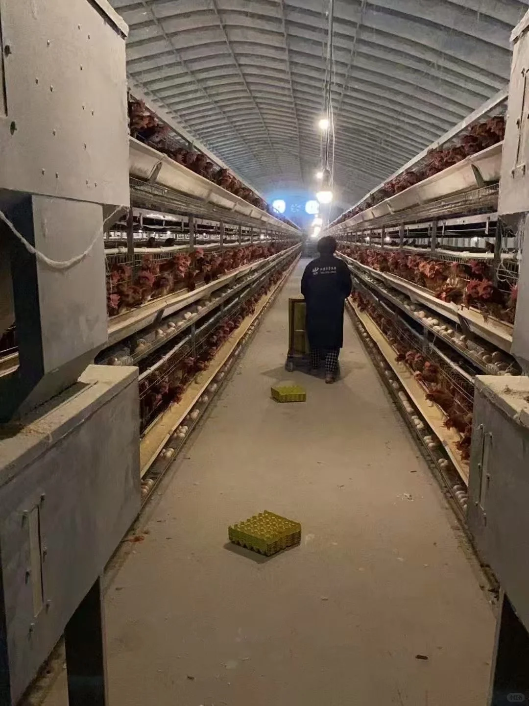 ���������ڷ۵������������С�۶���