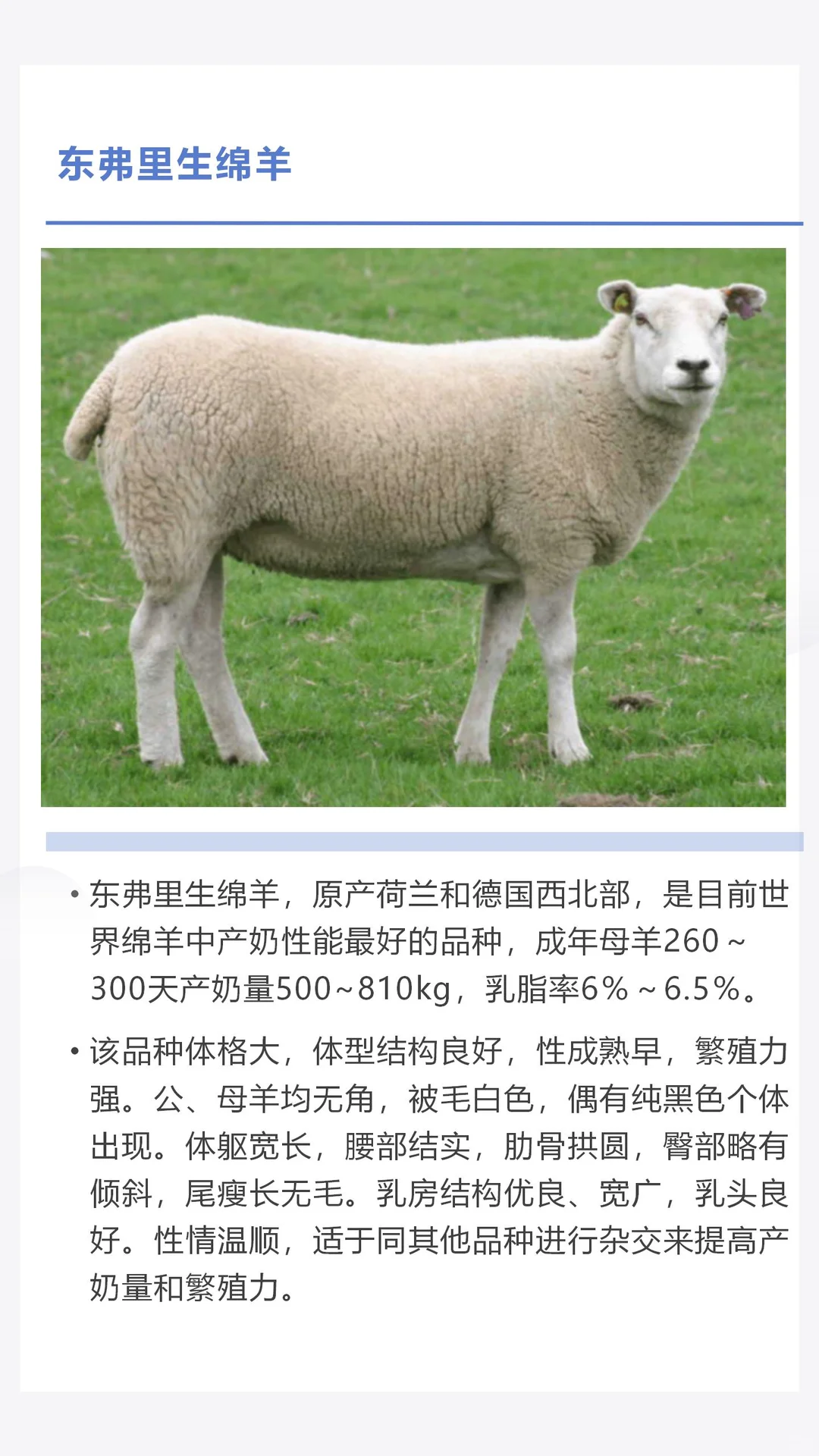 �������������������һ������