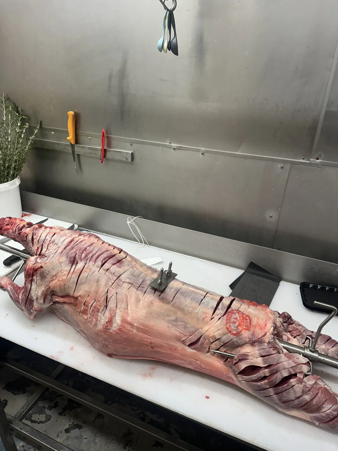 ??ī������ȫ��$398һ��ֻ��ȫ��?