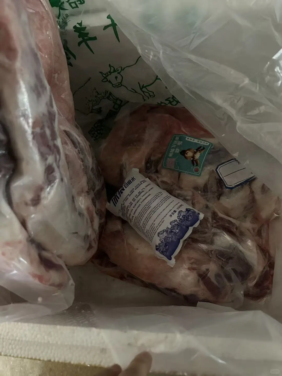 ����㶫������������һֻ��Ĺ���