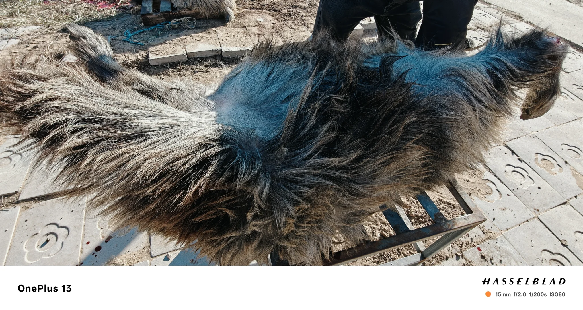 ��Ժ������С�����ϵ��