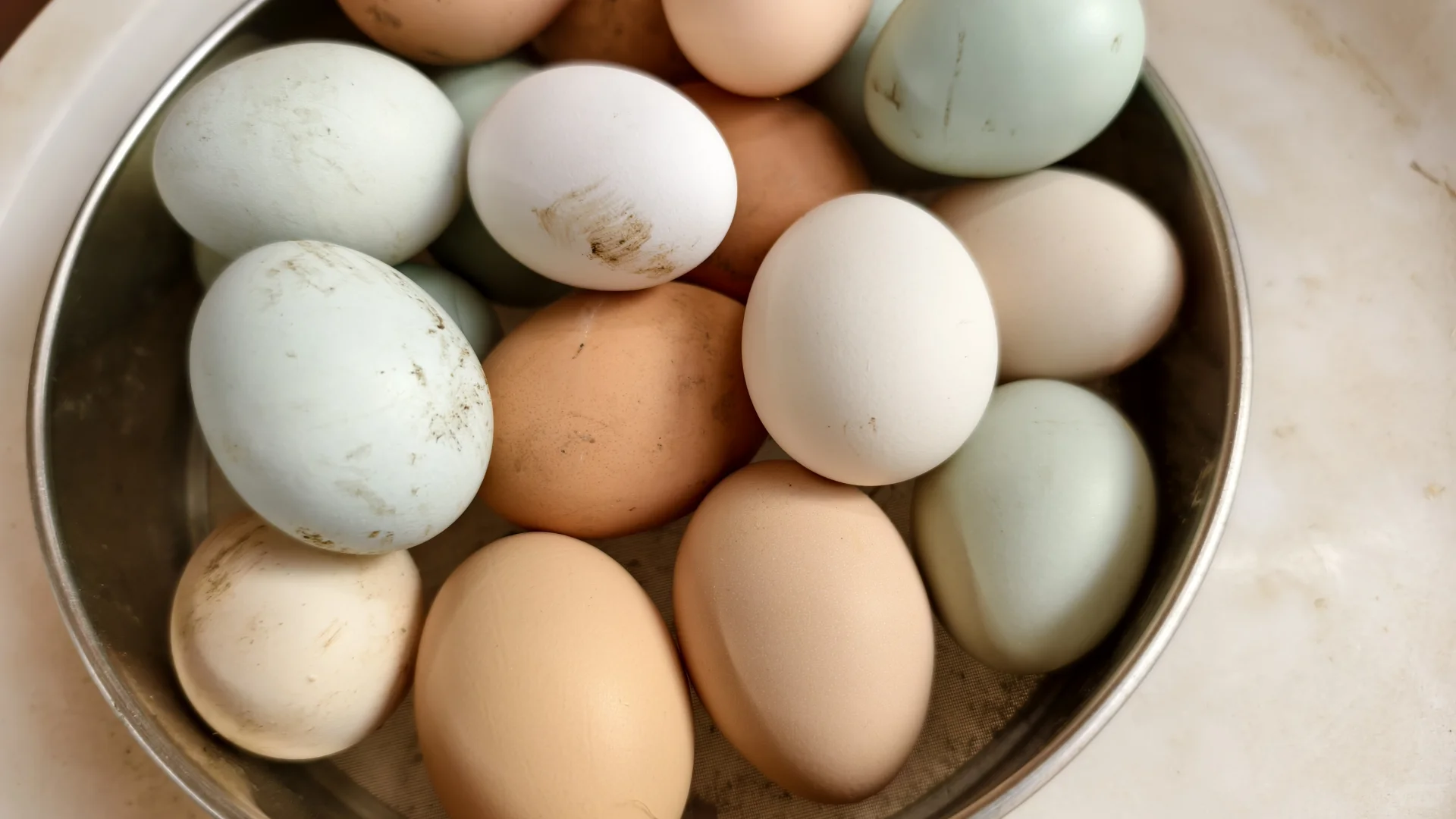 ����ƪ|�Ϸ�������