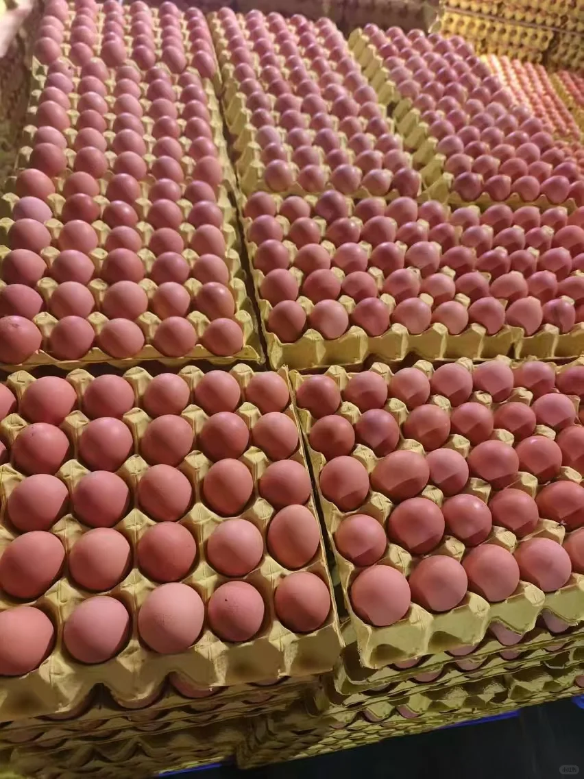 ���к�ǵ�ѽ