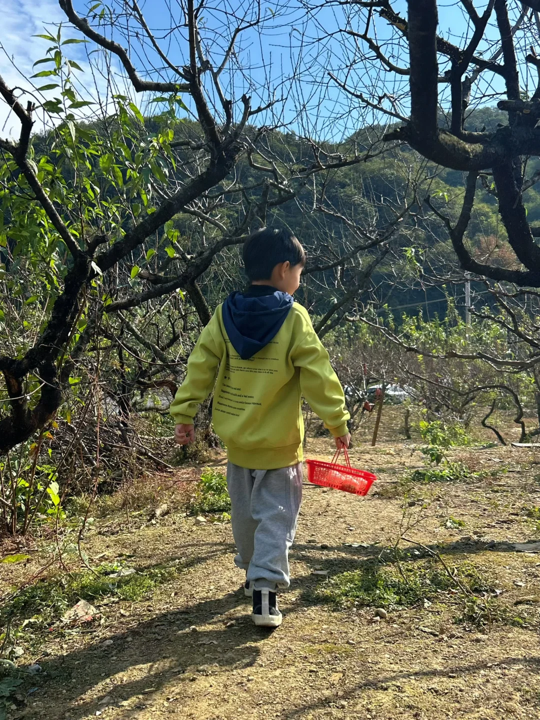 绍兴|带娃去做竹筒饭烤番薯摘橘子捡鸡蛋啦