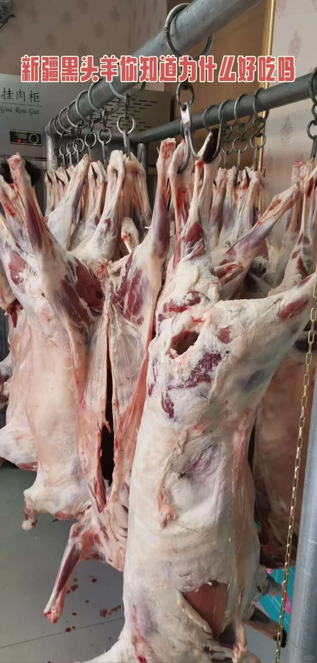 �½���ͷ��Ϊʲô�ó���