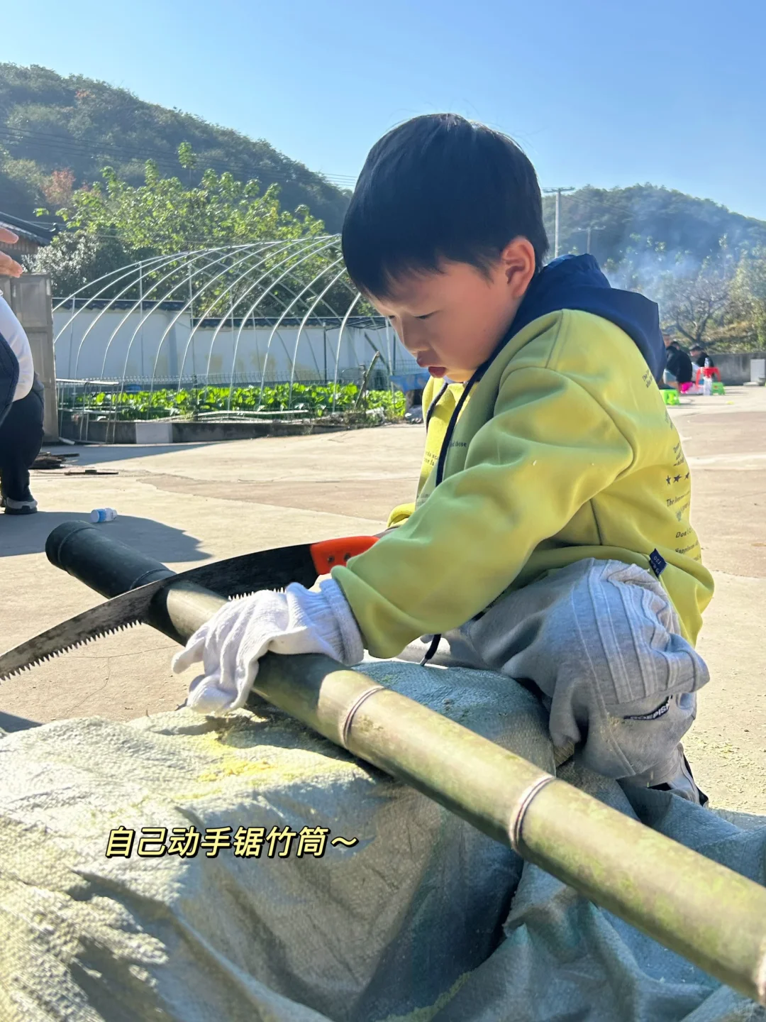 绍兴|带娃去做竹筒饭烤番薯摘橘子捡鸡蛋啦