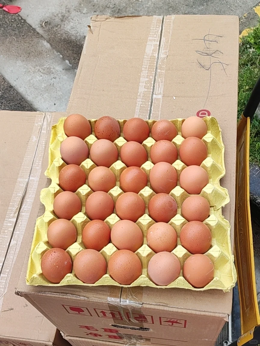 �Ϻ��ֶ����Ÿ���������32һ��