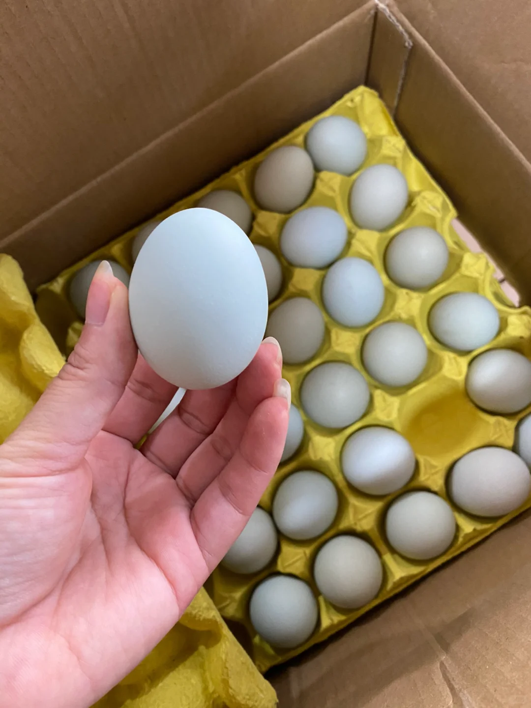 ˭�ܰ��Ұ���ô���ڵ���������һ��