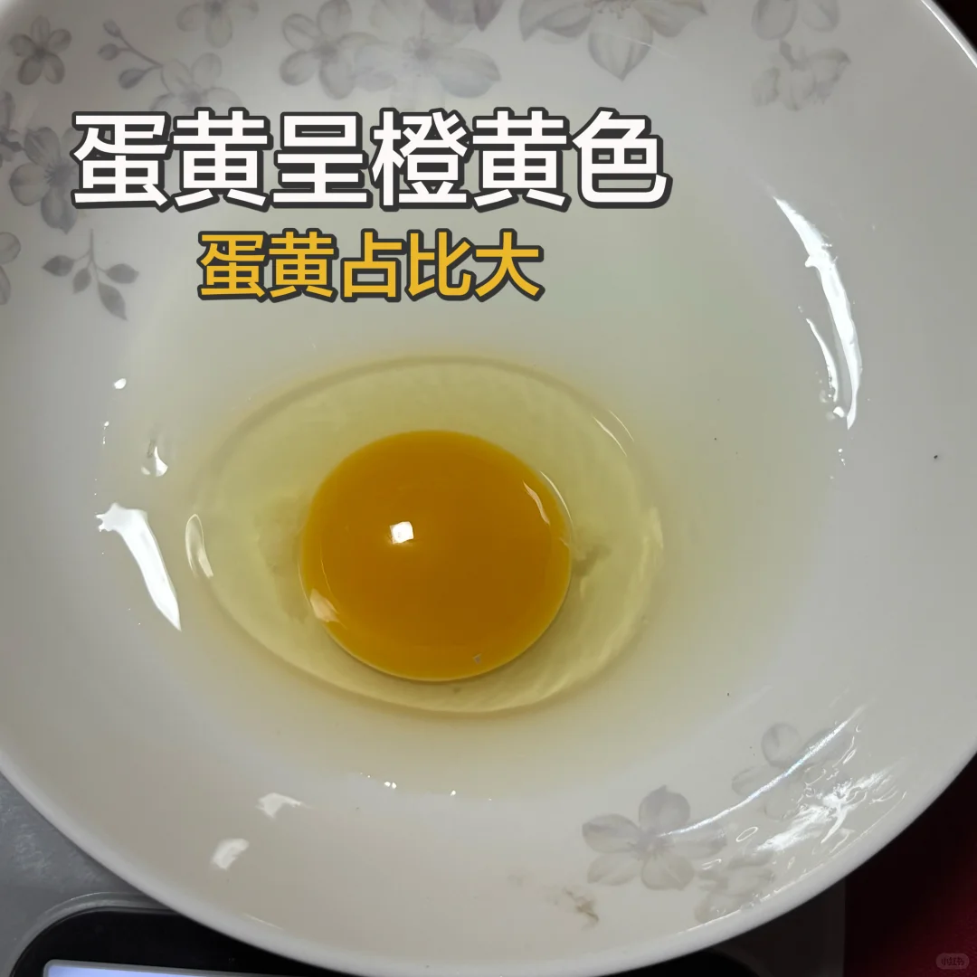 谈谈最近卖鸡蛋以来的感想