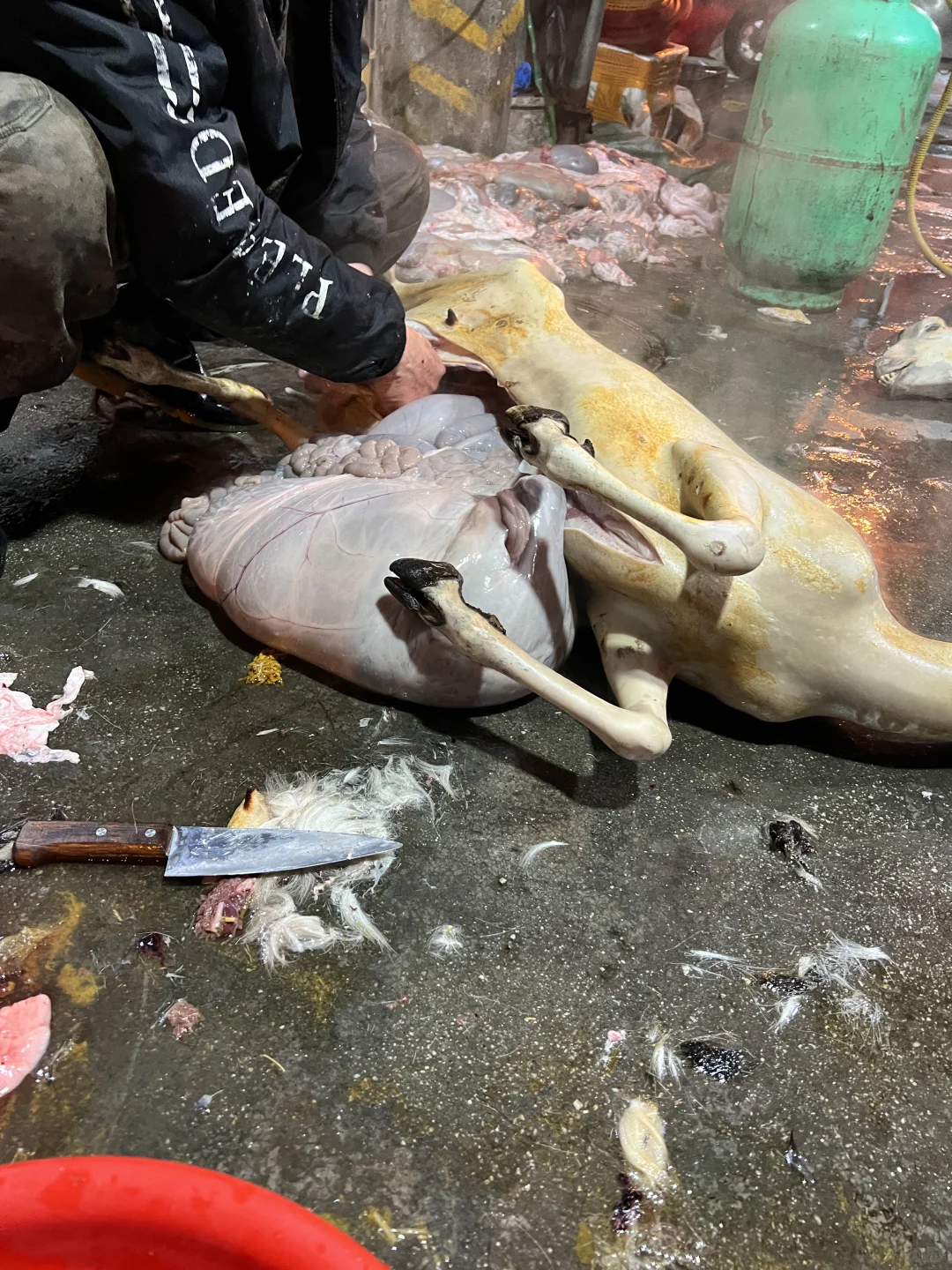 ������ò�ʼۣ��Ҽ�������