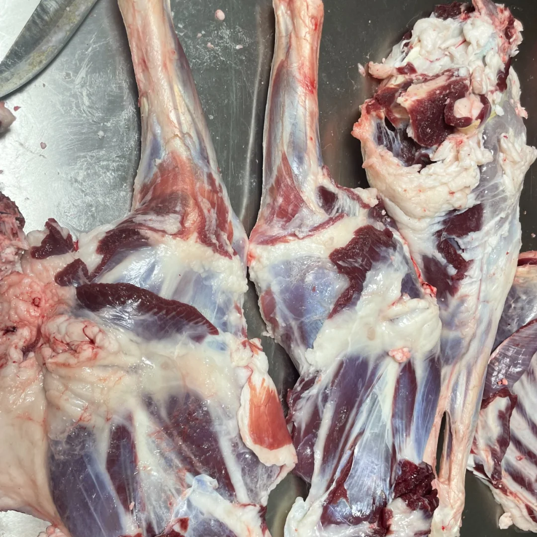 Ц����үү˵���ɽ��һ������Ҫ��˭Ҫ��