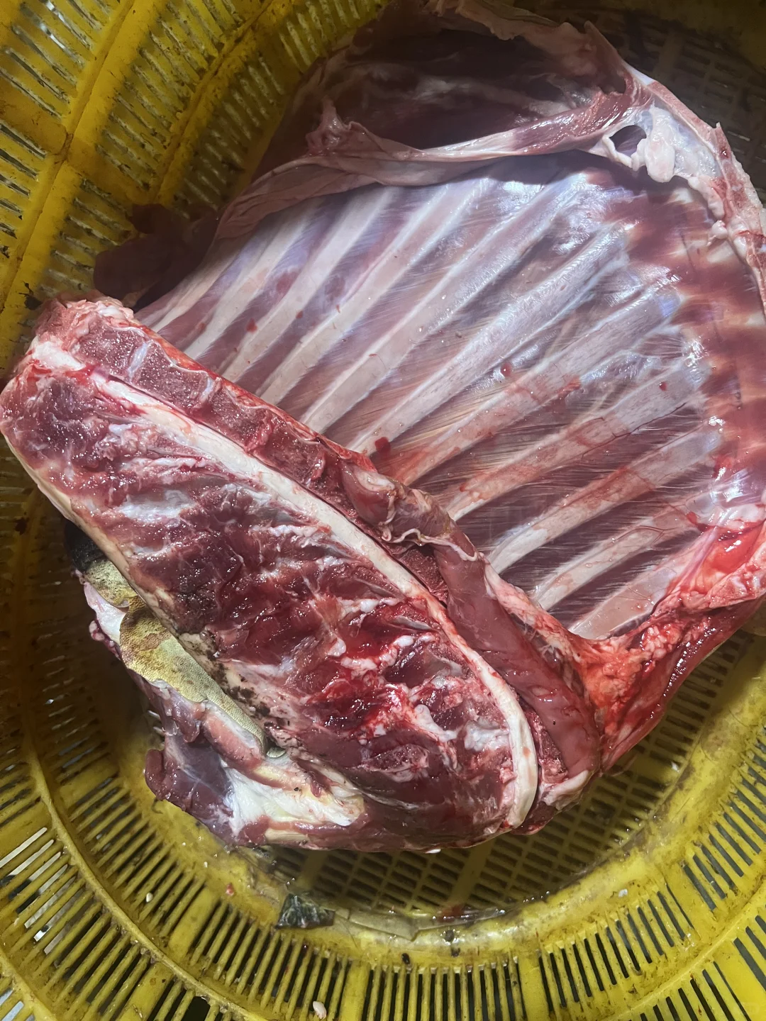 ������ò�ʼۣ��Ҽ�������