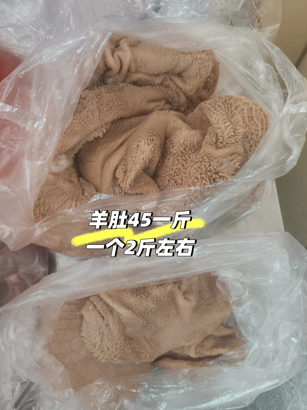 明天11月29号,黑山羊到钟村档口