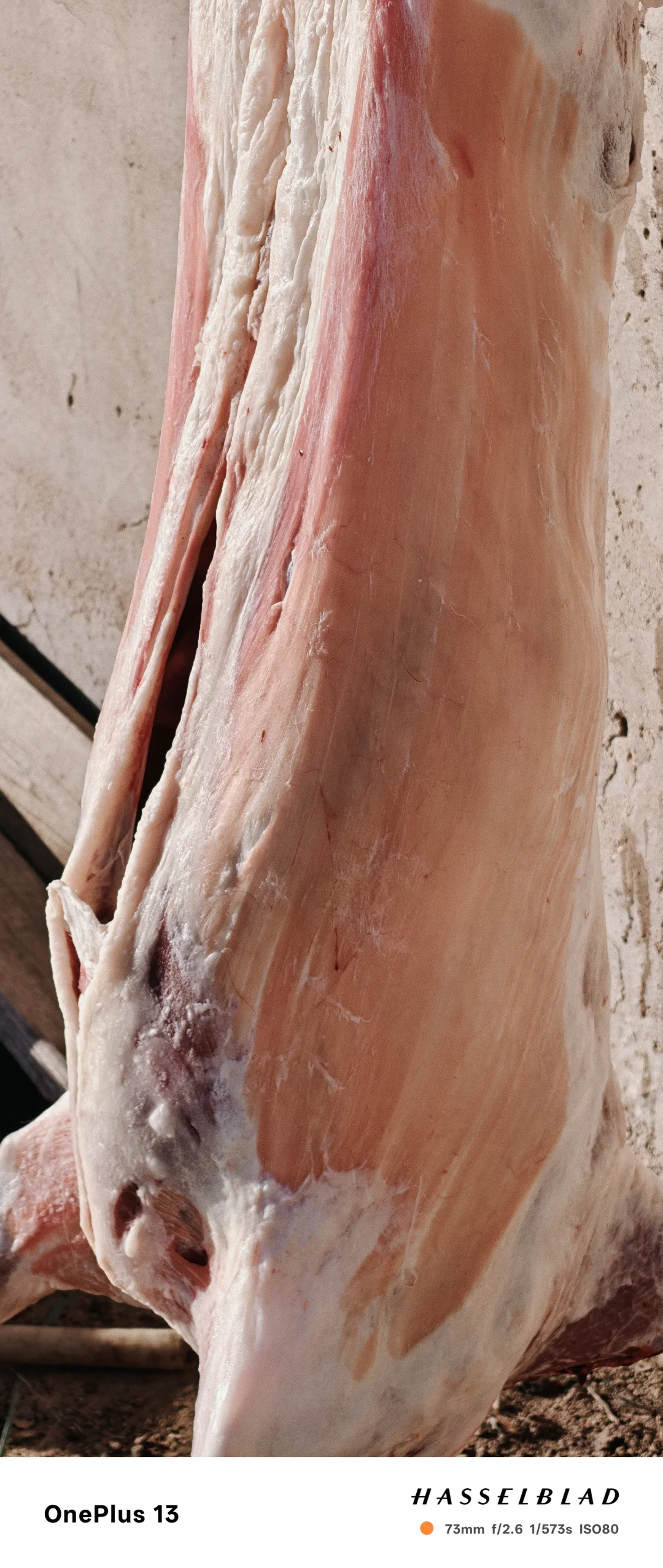 ��Ժ������С�����ϵ��