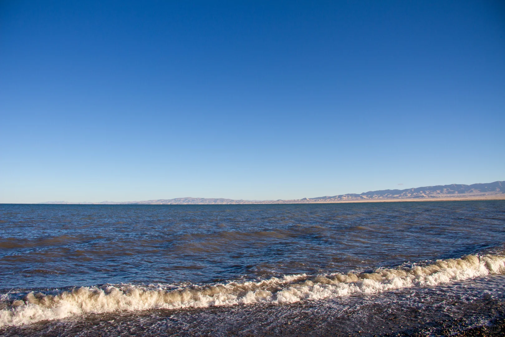 让牛马养羊这究竟是怎样的一家公司?