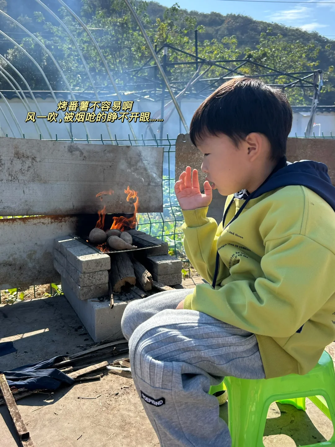 绍兴|带娃去做竹筒饭烤番薯摘橘子捡鸡蛋啦