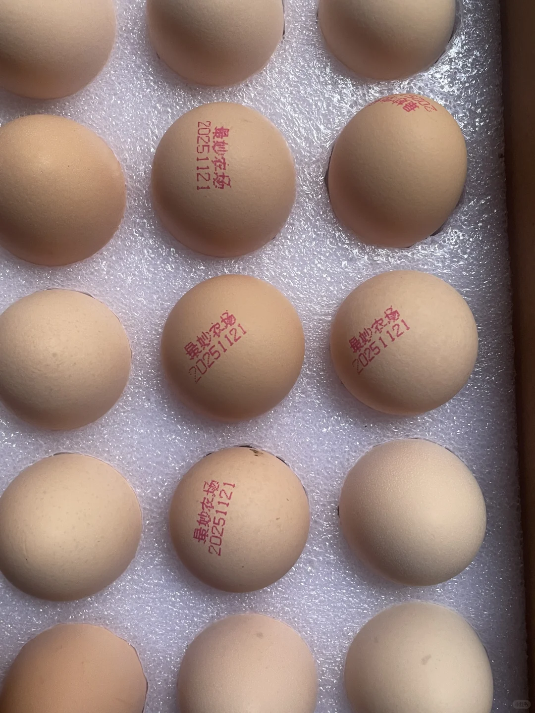 ��ƴxx��ļ�������