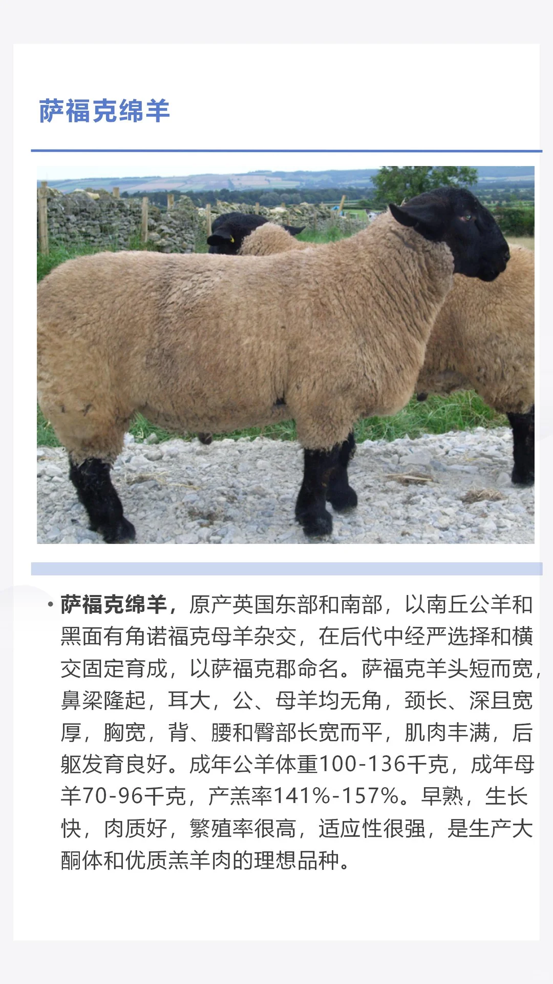 �������������������һ������