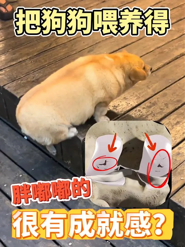 Ϊʲô80%�Ĺ������йؽ����⣿