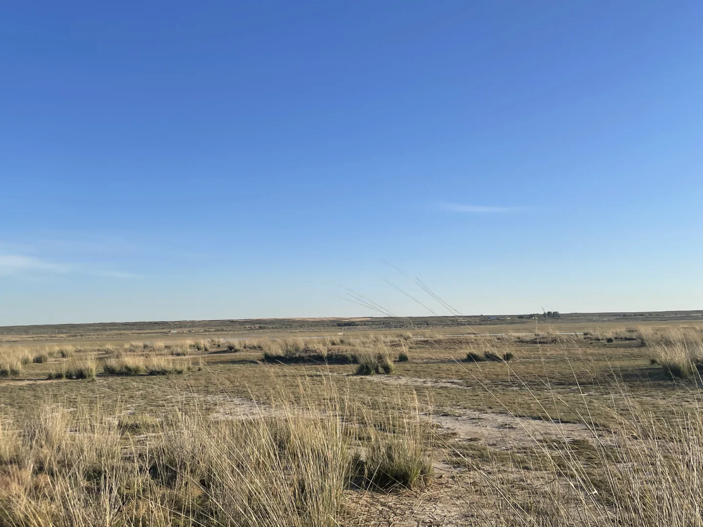 ������ �����ɵ����� �����Լ�������������