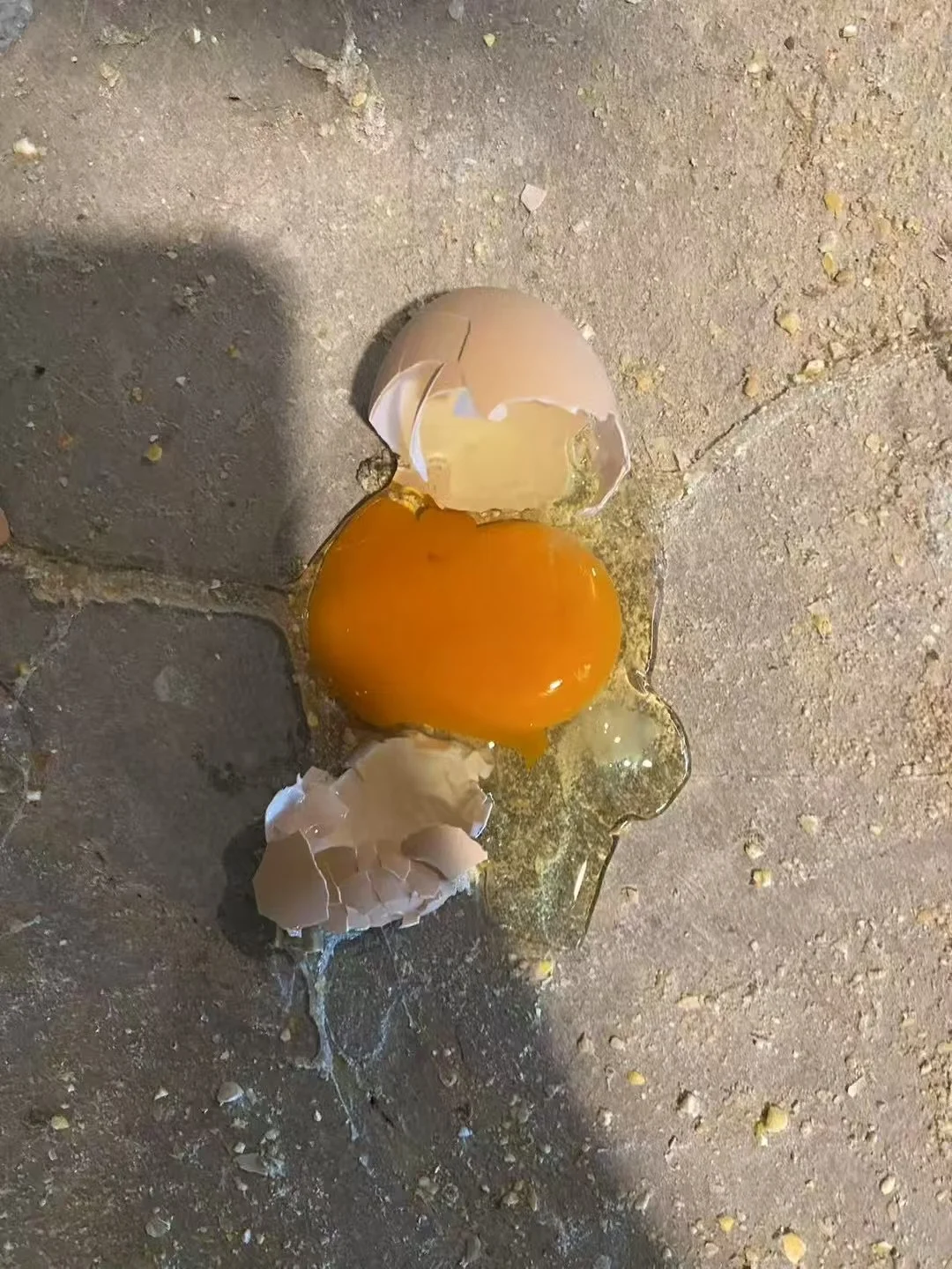 ���������ڷ۵������������С�۶���