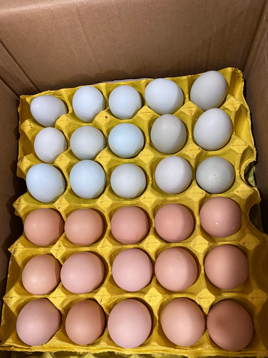 ˭�ܰ��Ұ���ô���ڵ���������һ��