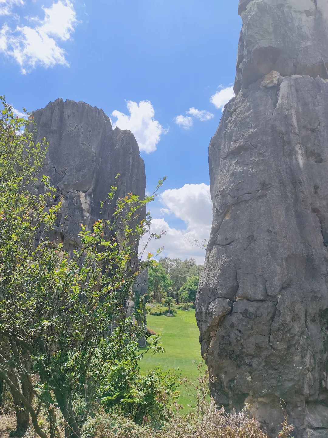 观察了一会20年的自己