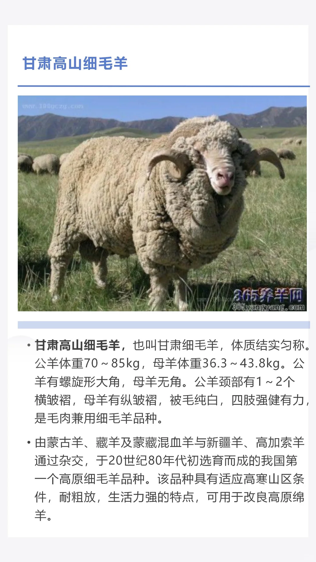 �������������������һ������