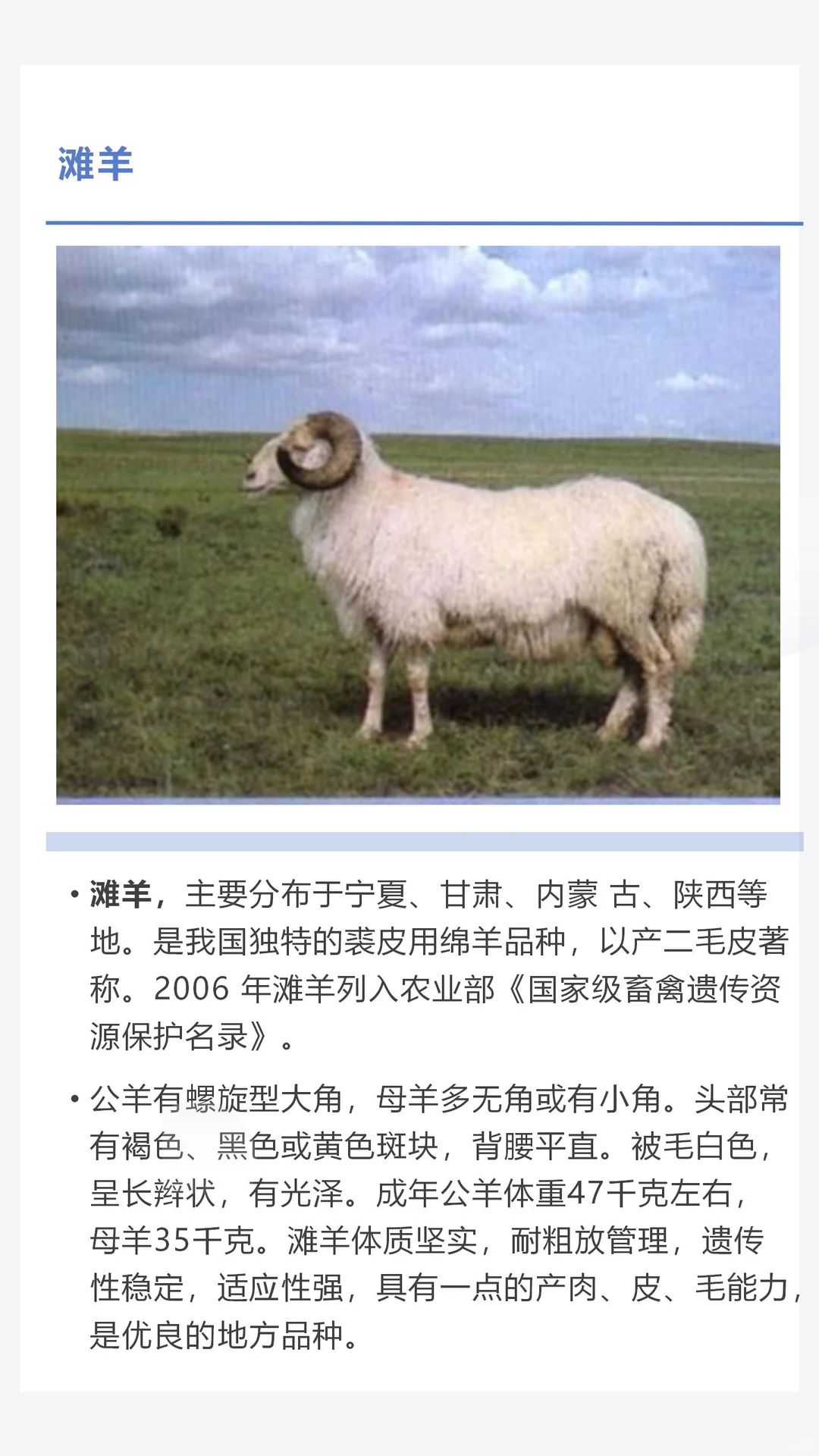 �������������������һ������