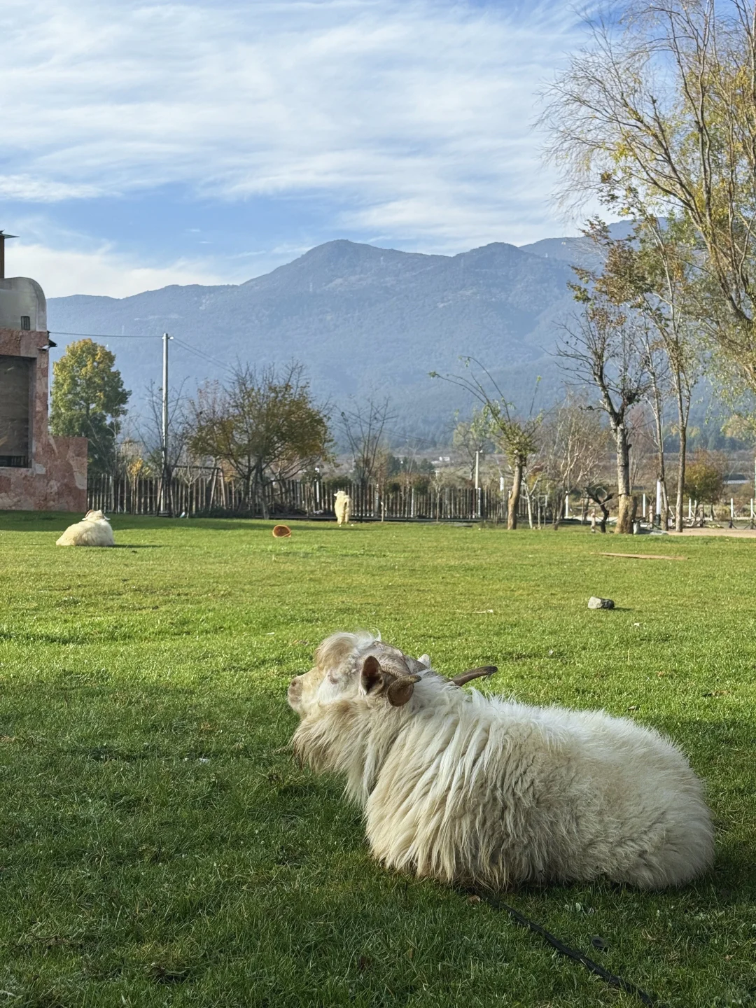 С�����ʲô����