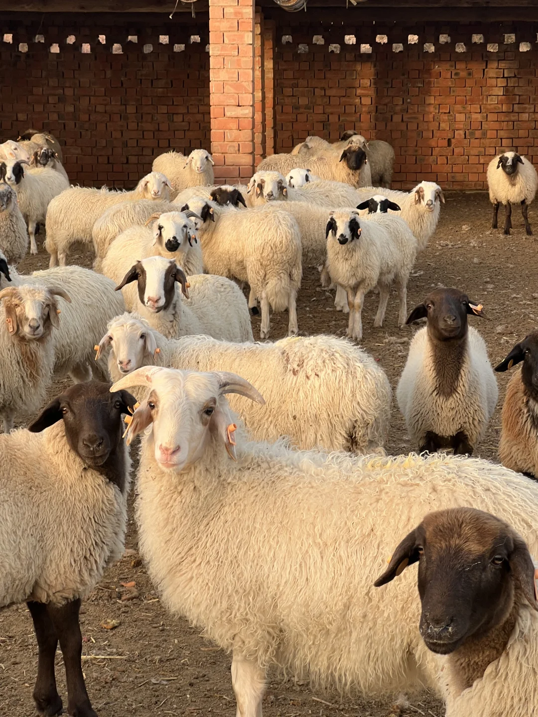 �����γ�̲�������ֻ30��1328Ԫ