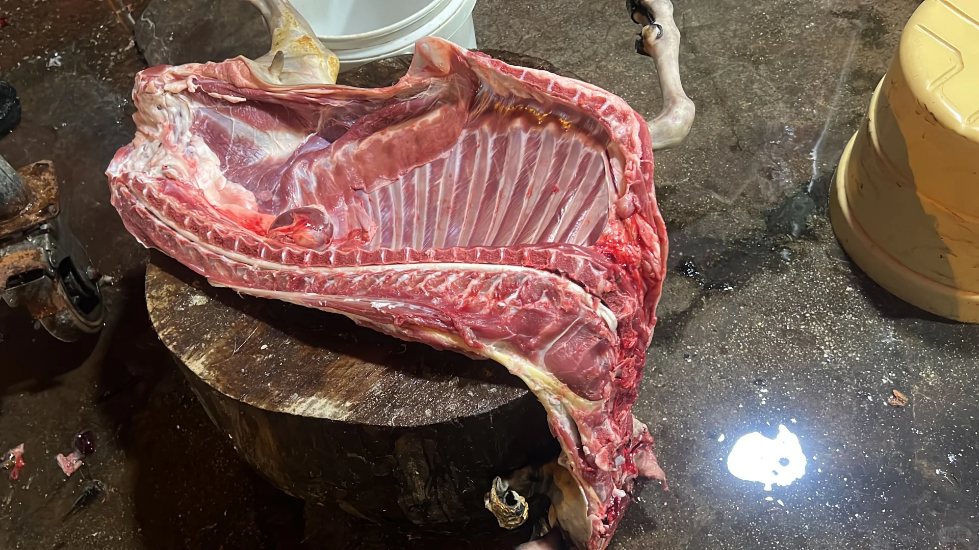 ������ò�ʼۣ��Ҽ�������