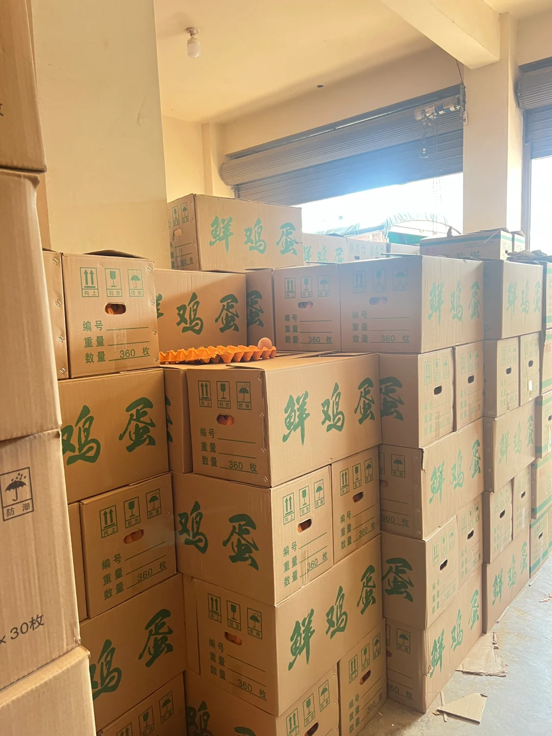 �ʼ�����������ӭȫ�������ϰ��µ�