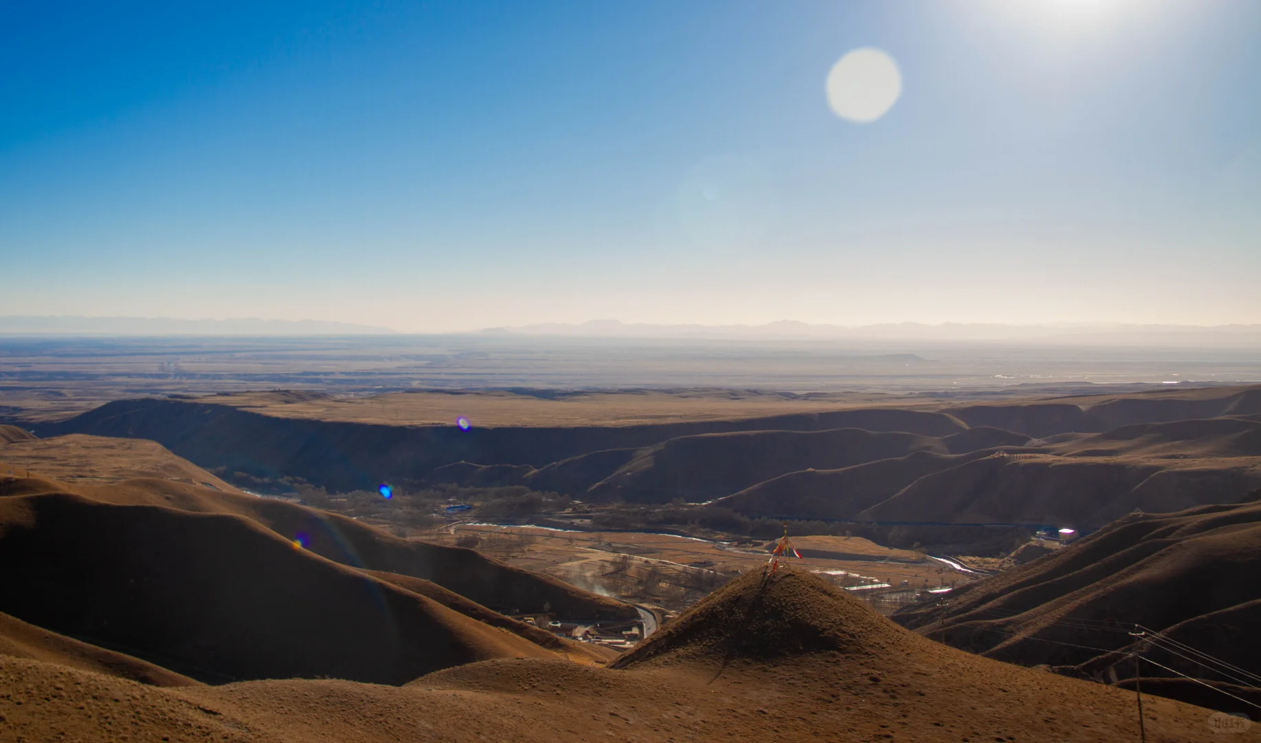 让牛马养羊这究竟是怎样的一家公司?