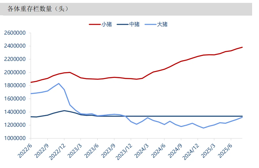 �ӹ����˿�����δ�������ƣ�����