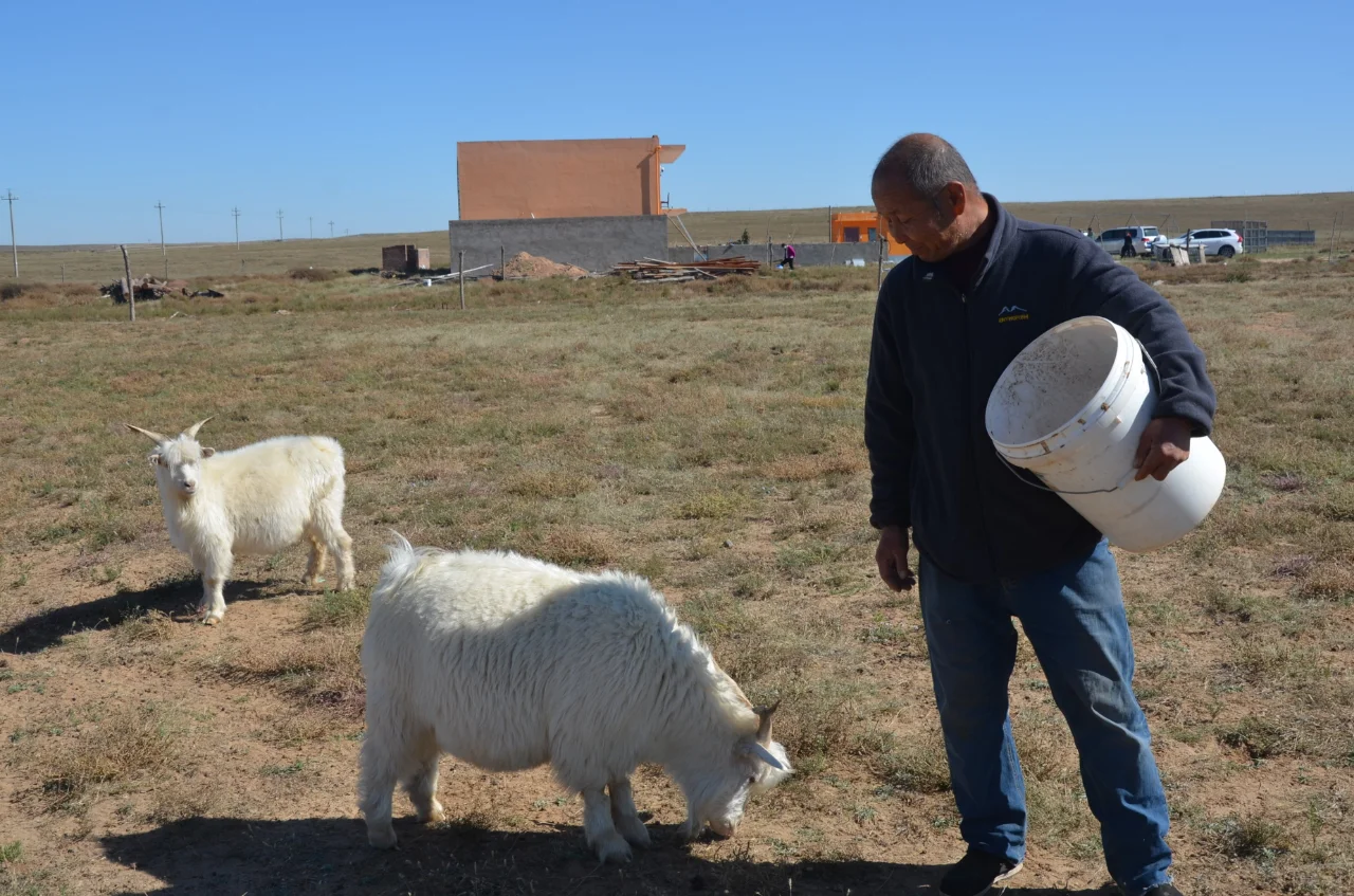 我爸说卖不出去,以后少养点
