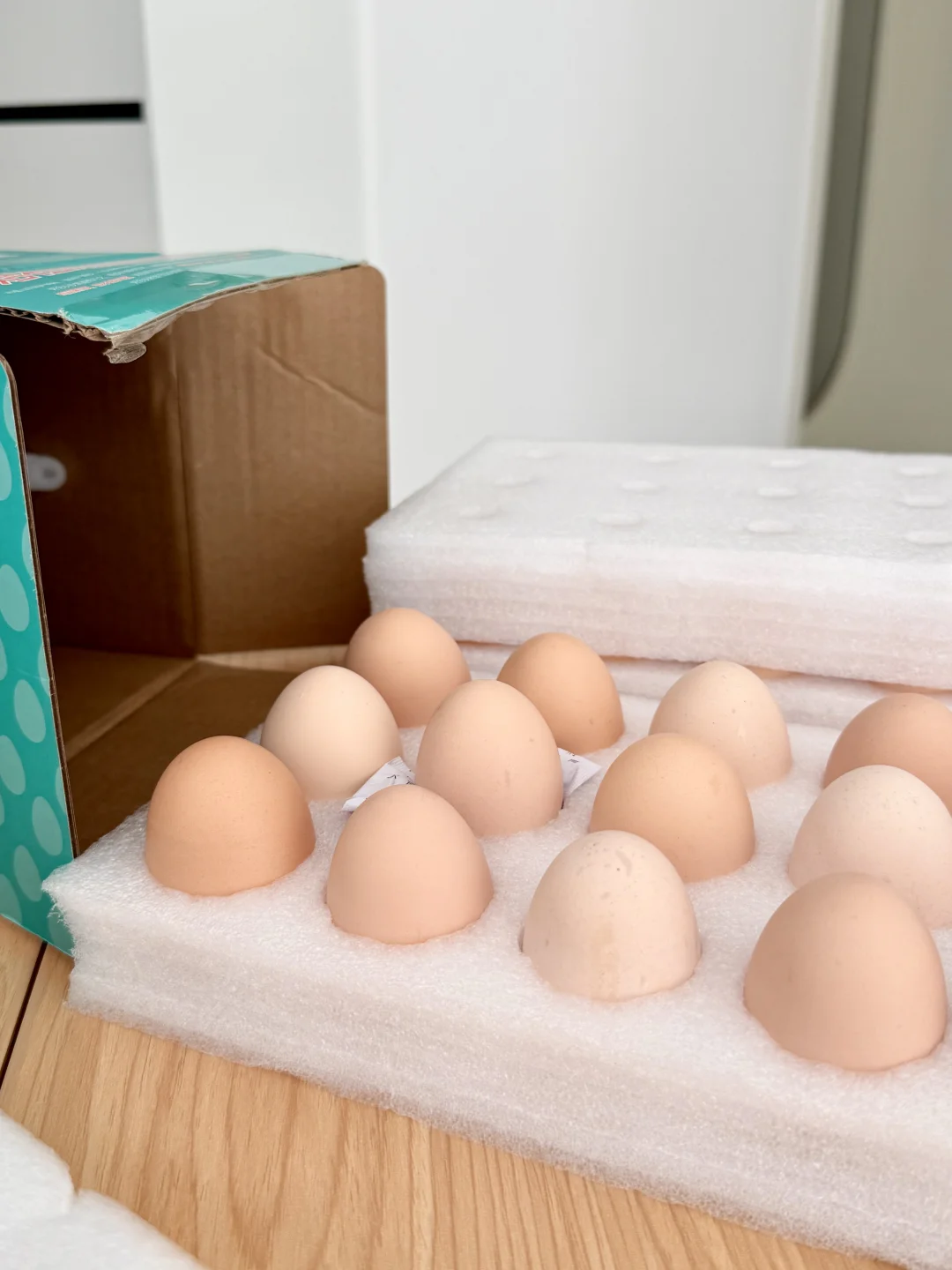 ?|鸡蛋是最听话的食材