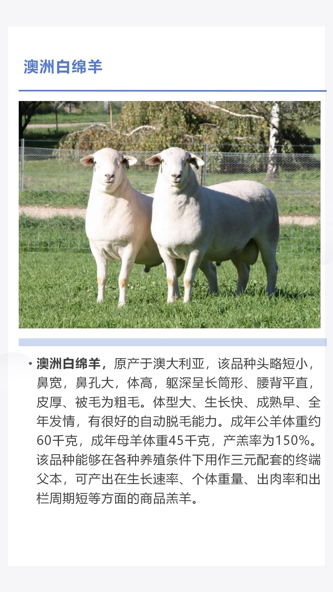 �������������������һ������