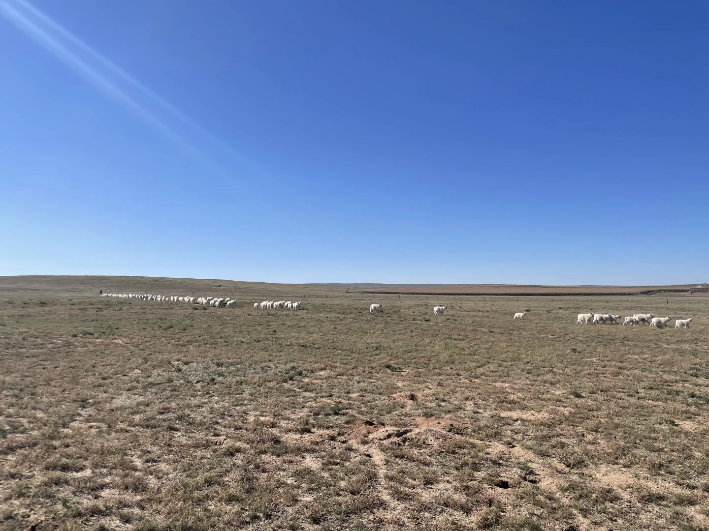 ������ �����ɵ����� �����Լ�������������