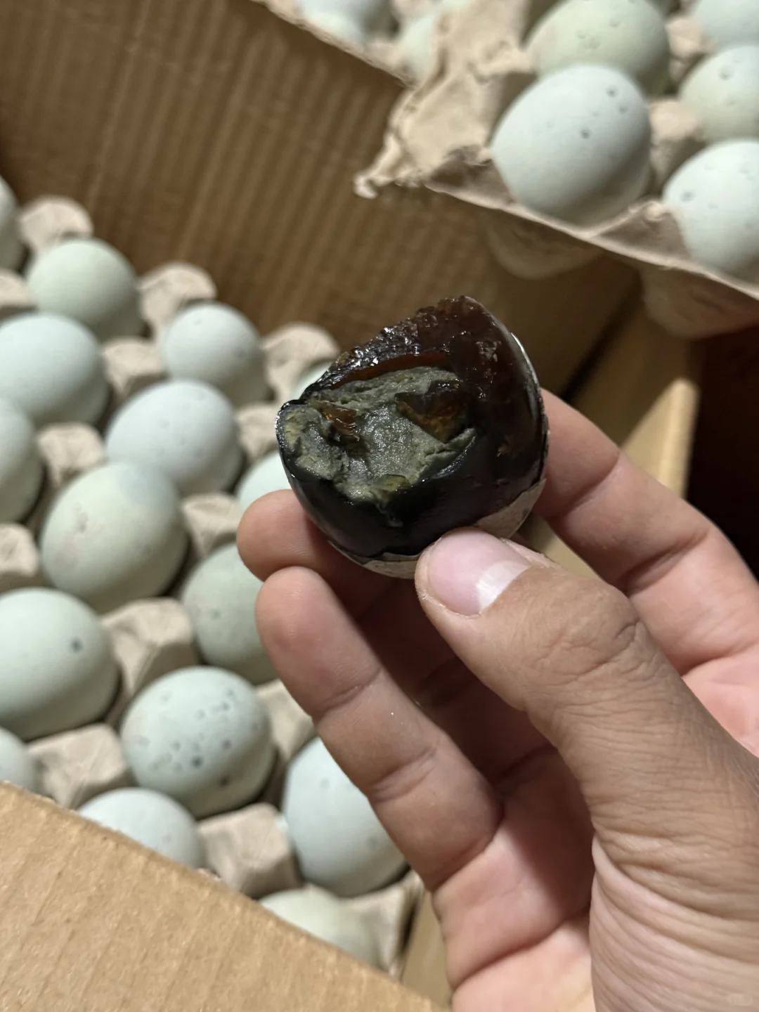 �Ͼ���������