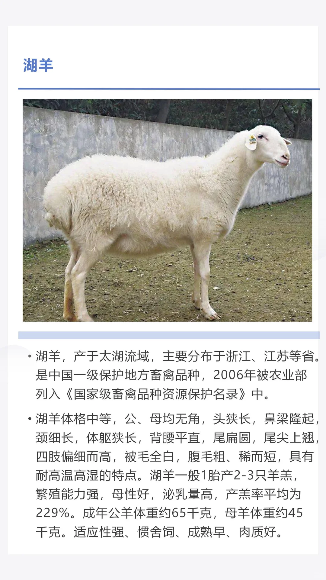 �������������������һ������